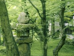 -西芳寺(苔寺)
