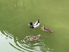 -南宁南湖公园
