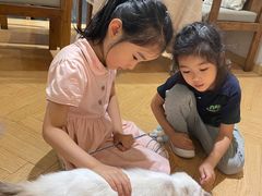 -吉丁鸟咖·异宠·寄养