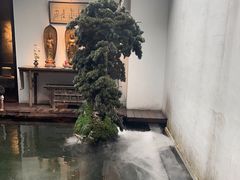 -觀芷隐轩