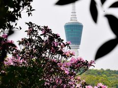 -梧桐山风景名胜区