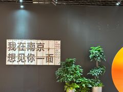 -龙湖南京河西天街