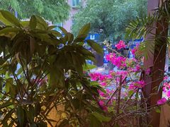 -泰堤坊(淡水体育馆店)