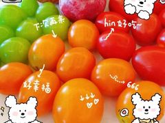 -太阳岛度假酒店