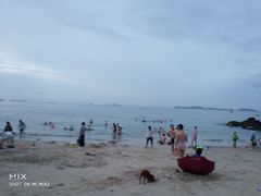 -杨梅坑渔村海鲜餐厅