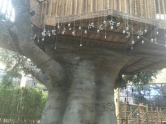 -杭州开元森泊度假乐园