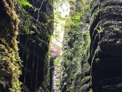 -梭布垭石林景区