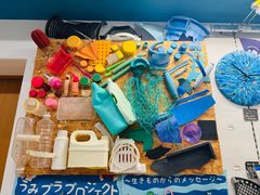 -西海国立公园九十九岛水族馆