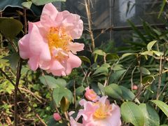-云庭汇·粤菜海鲜(东盟盛天地店)