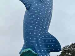 -珠海长隆海洋王国