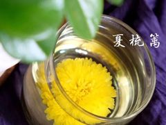 -339旋转餐厅(天府熊猫塔店)