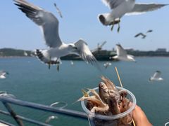 -海驴岛(荣成市)