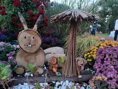 -上海共青森林公园