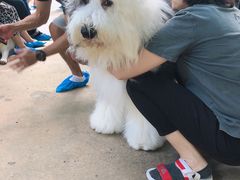 -TrueLove @ Neverland (Husky Cafe)