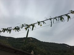 -灵山岛风景区