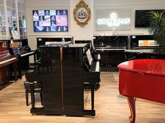 -柏斯音乐艺术中心·钢琴·吉他(上音店)