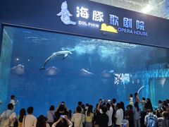 -西安曲江海洋极地公园