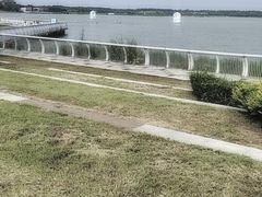 -武清南湖绿博园