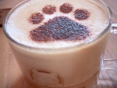 -猫小院猫主题餐厅(南锣旗舰店)