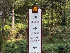 -炎帝陵景区