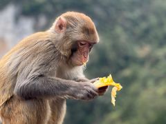 -重庆云阳龙缸景区