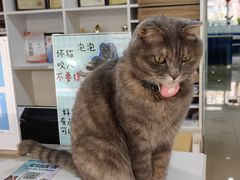 -宠福鑫动物医院(立水桥分院)