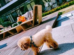 -一尺花园(安和花园店)