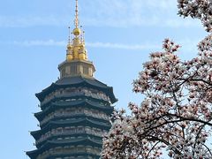 -红梅公园