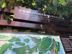 -大亚湾红树林城市湿地公园