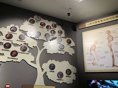 -辽宁古生物博物馆