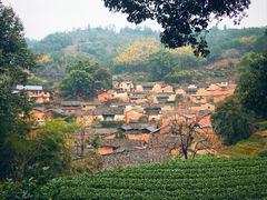 -杨家堂村