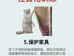 -lincat·猫舍(广州店)