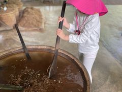 -大象粑粑造纸公园