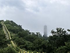 -冶父山国家森林公园