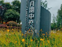 -映月湖中央公园
