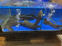 -抱德·潮汕味(敦和店原惠城鱼仔)