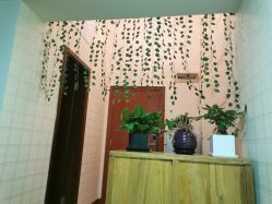 -愈元涵·手工艾灸