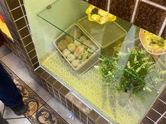 自助取餐区-芦庄子桂顺斋(和平路总店)