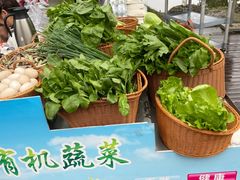 -洪湖家庭农场·团建·露营·会议