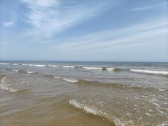 -日照海滨国家森林公园