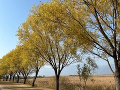 -野鸭湖国家湿地公园