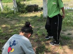 -滆湖低碳生态公园