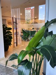 -酉嘉瑜伽YO+YOGA