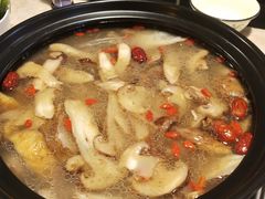 -蘑统田下·野生菌火锅