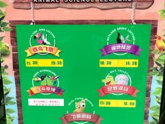 -广州长隆飞鸟乐园