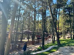 -南京银杏湖乐园