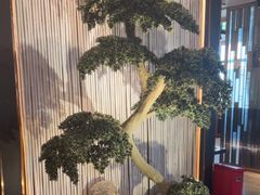 -珍之宝御品·寻味顺德(容桂渔人码头店)
