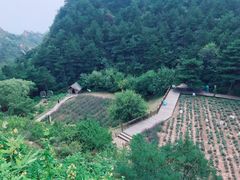 -云峰山自然风景区