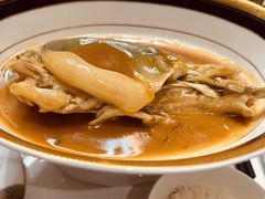 -鲐赏河豚(长寿店)