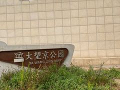 -大望京公园